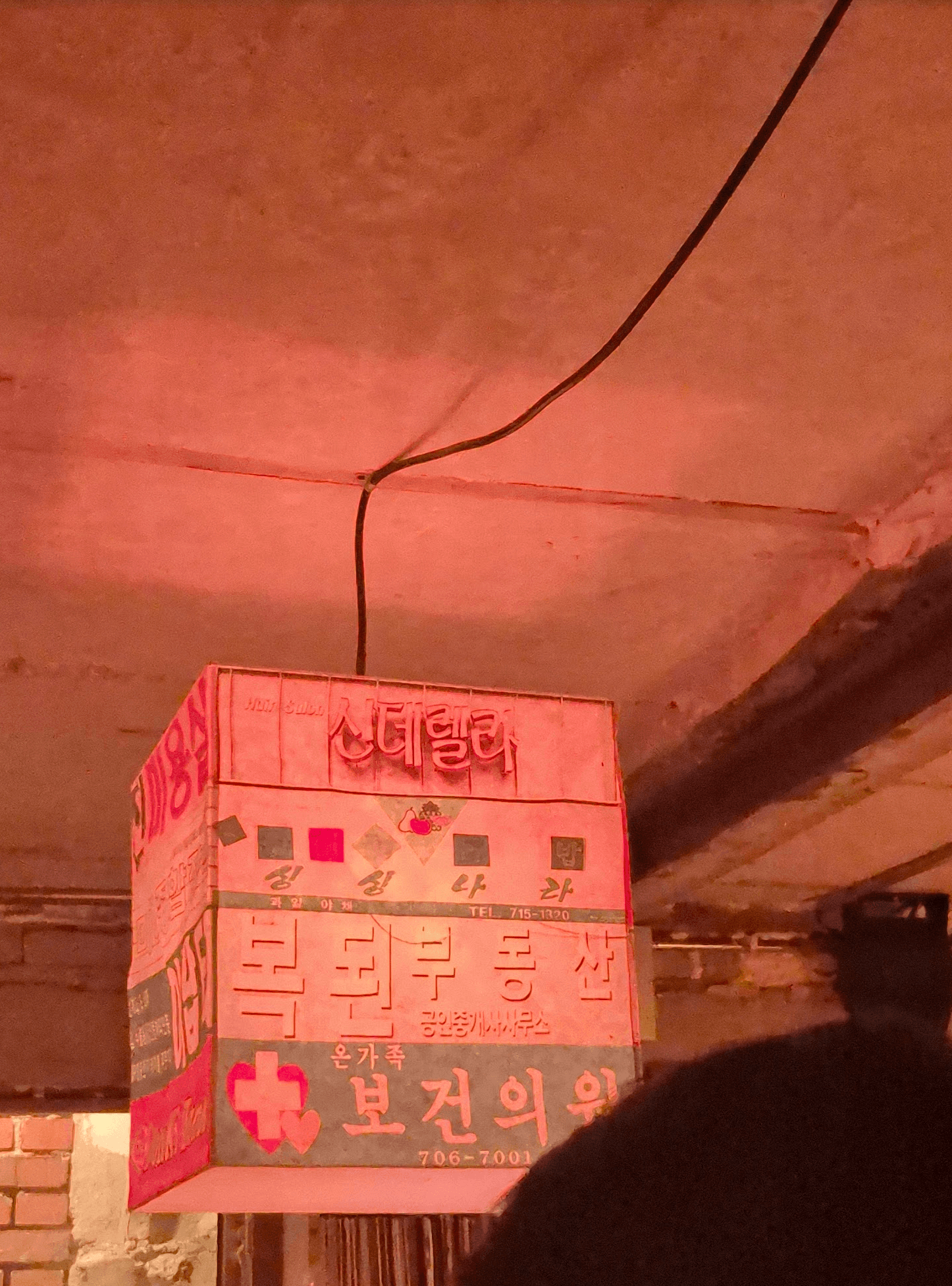 Seoul Business Plan: Make Your Money in 6 Months